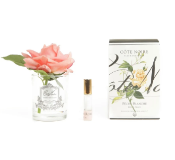 Cote Noire Single French Rose - White Peach