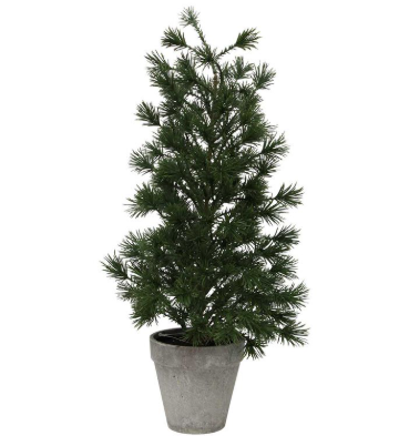 Table Pine Tree - Medium