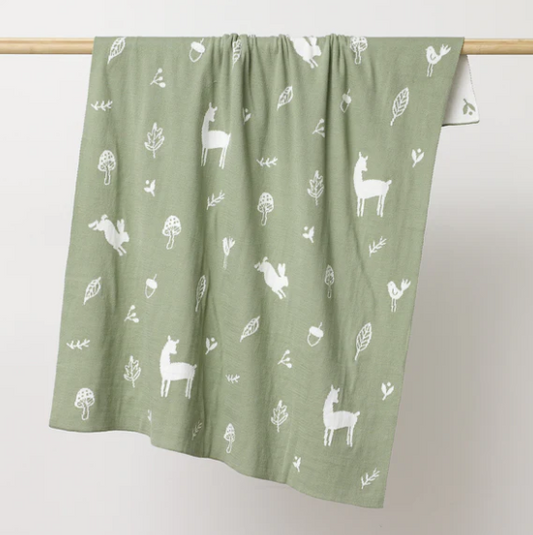 OTD Organic Blanket
