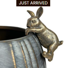 Hanging Rabbit