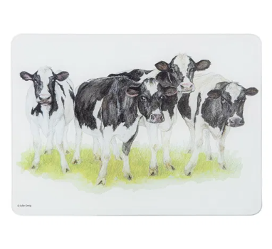 Meet The Girls - Surface Saver