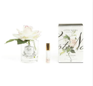 Cote Noir - French Rose Pink Blush