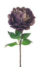 FLOWER SYSTEMS Elsa Peony Spray