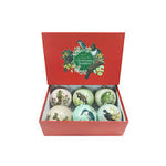 Box of Six Native Bird Christmas Baubles