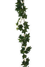 Mini English Ivy Garland