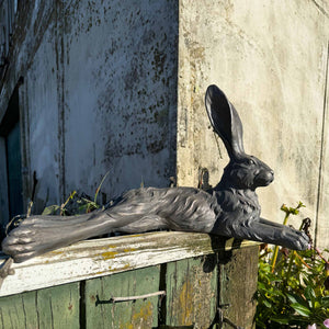 Country Hare Grey - Resting