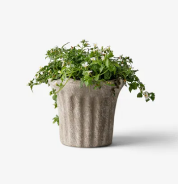Terra Fluted Planter