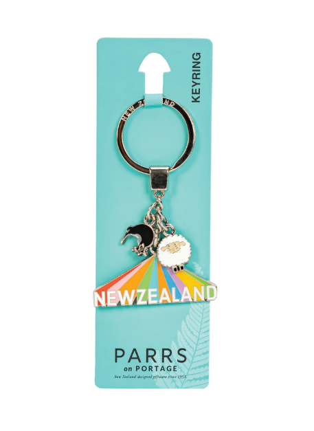 PARRS METAL KEY RINGS