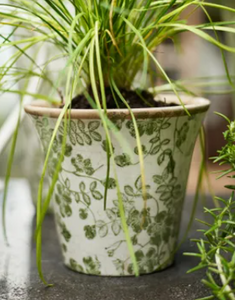 Botanical Fluted Pot