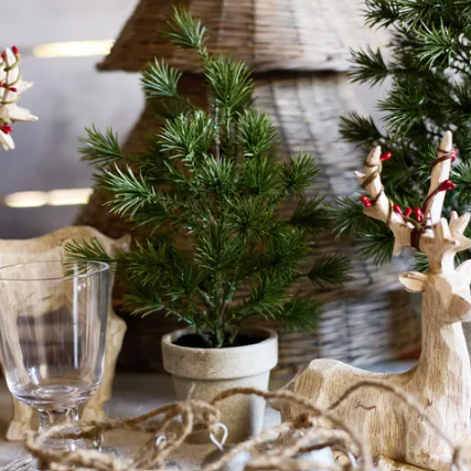 Table Pine Tree - X-Small
