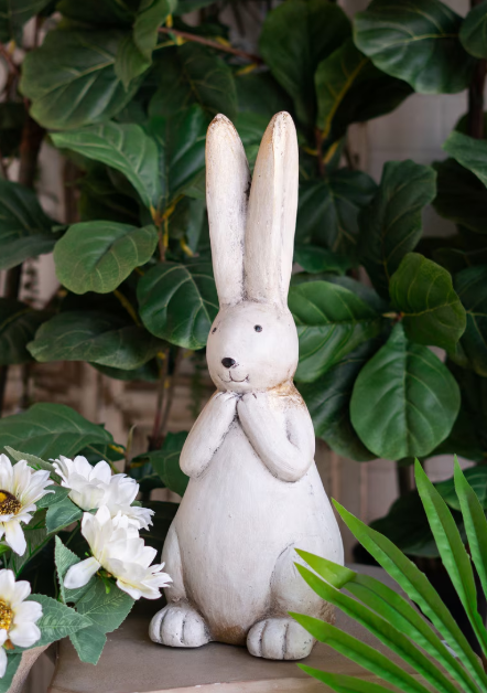 Rabbit With Long Ears