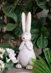 Rabbit With Long Ears