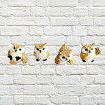 OWLS CREAM 4.5cm