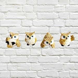 OWLS CREAM 4.5cm