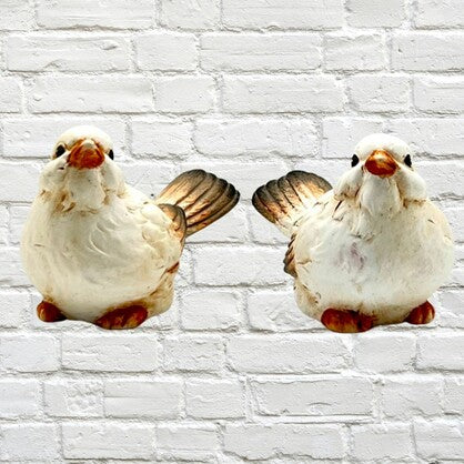 BIRDS ARRABELLE