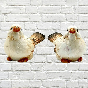 BIRDS ARRABELLE