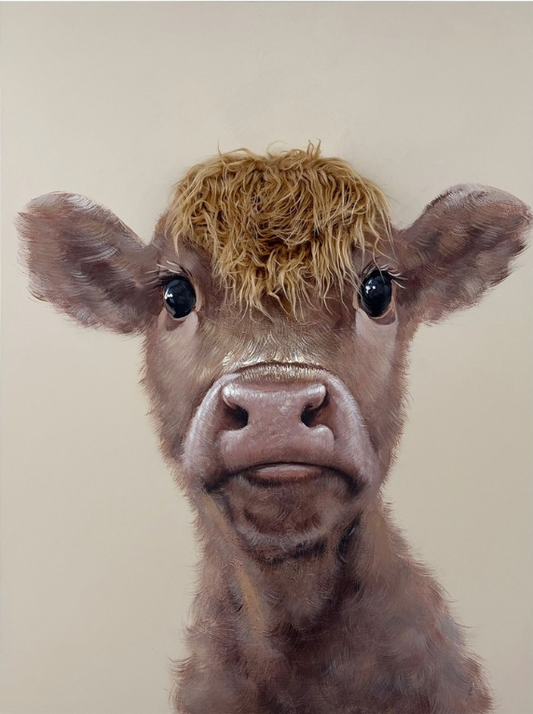 Bad Hair Day - Cow