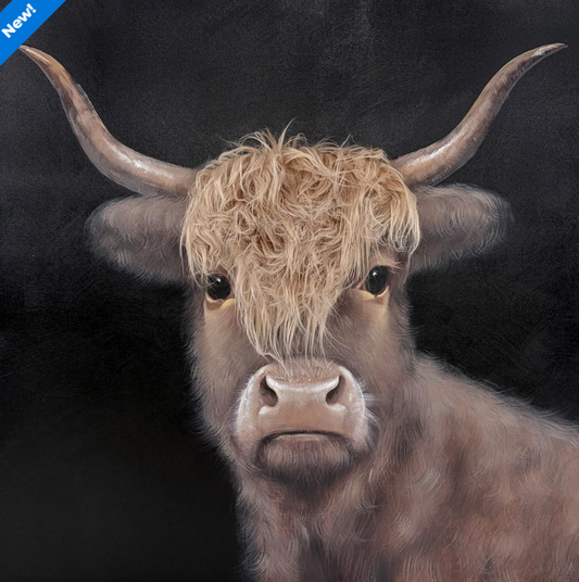 Bad Hair Day - Highland Cow