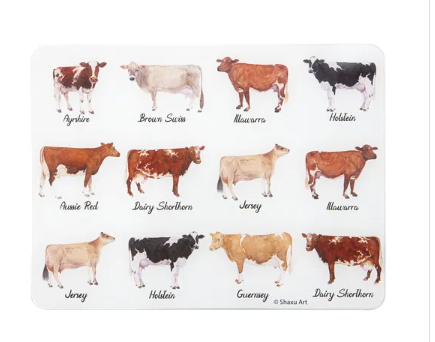 Best In Breed Dairy Cow Surface Saver