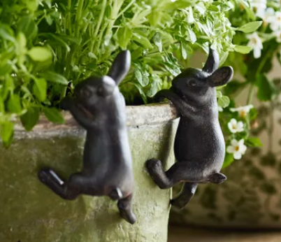 Hanging Rabbit