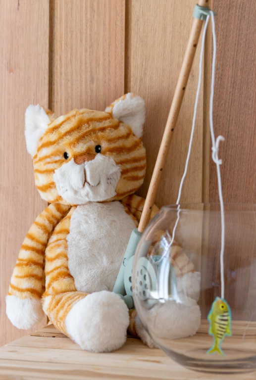 Ginger The Cat By Nana Huchy