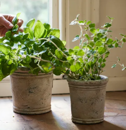 Gris Planter