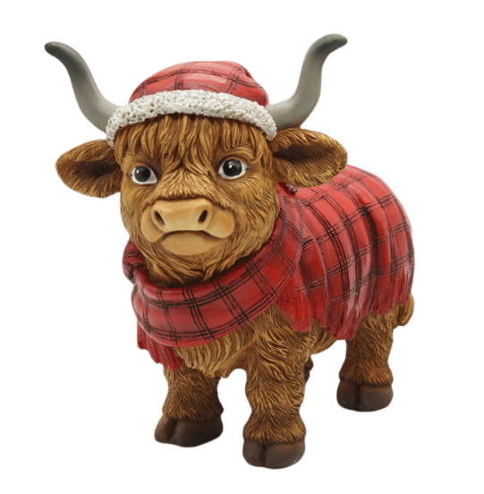 Highland Cow
