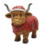 Highland Cow