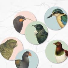 Hushed Birds Coasters