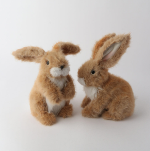 Oxford Bunnies