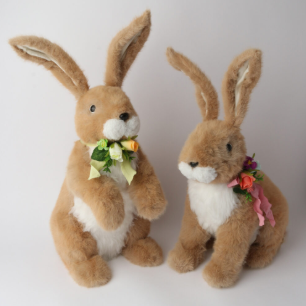 Oxford Bunnies LG
