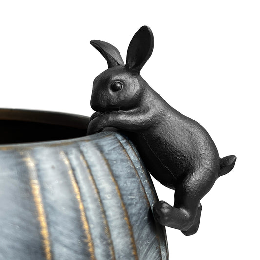 Hanging Rabbit