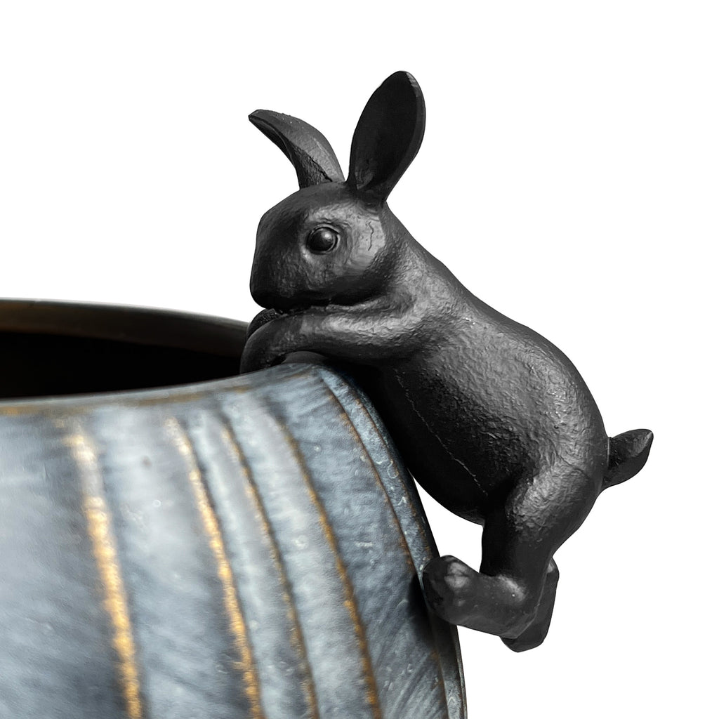 Hanging Rabbit