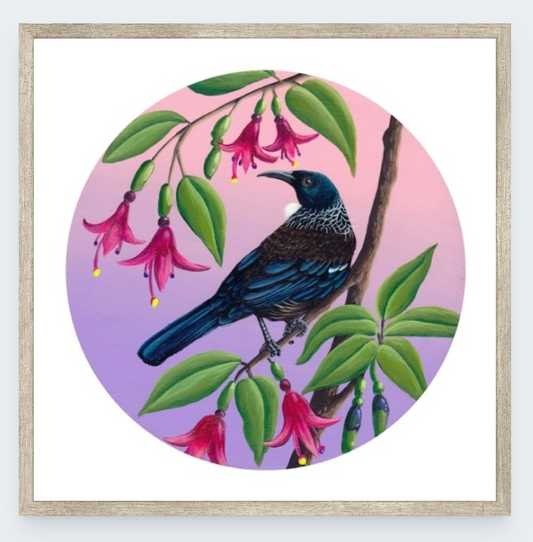 Tui In The Fuschia