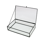 Glass Hinged Box 25/15/5cm