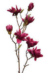 FLOWER SYSTEMS Anise Magnolia Spray Beauty