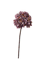 Dried Look Hydrangea-Lavender