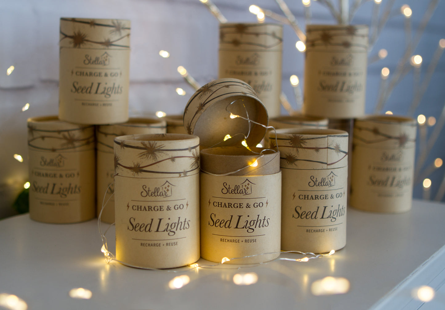 STELLAR Charge & Go Seed Lights