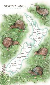 PARRS Tea Towel-Kiwis On NZ Map